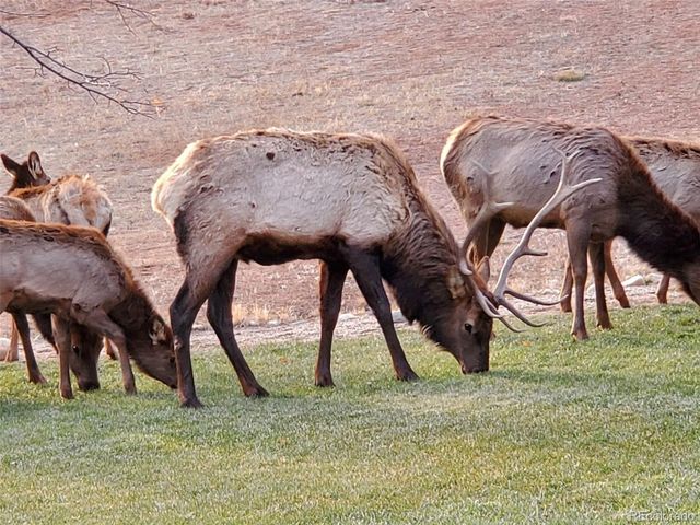 7864 Heart J Trl, Loveland, CO 80537