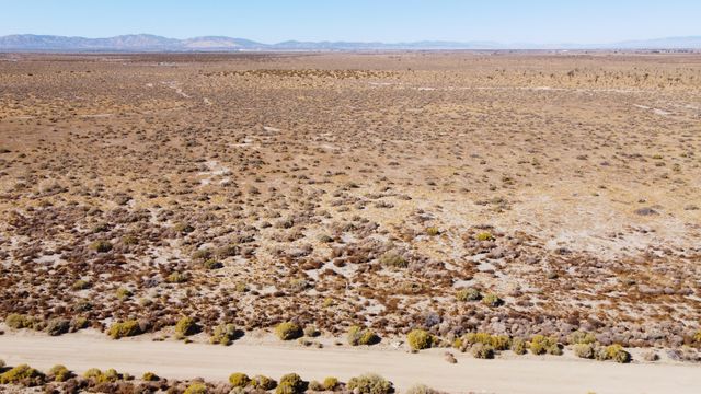 110 E 110th Street, Lancaster, CA 93535