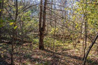 Lot 1 55th Street, Mauston, WI 53948