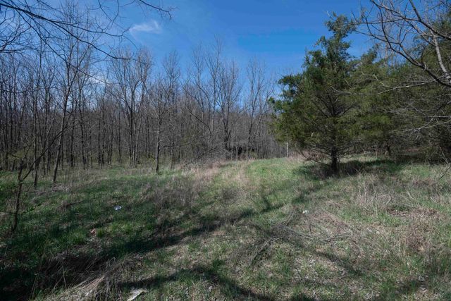 0 Davis Turkey Foot Road, Sadieville, KY 40370