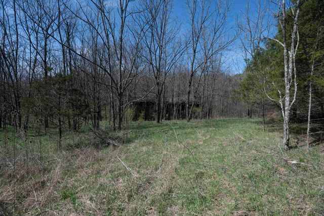 0 Davis Turkey Foot Road, Sadieville, KY 40370