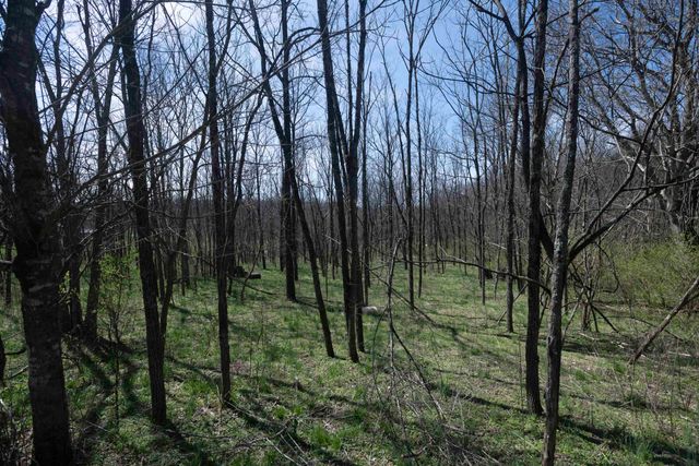 0 Davis Turkey Foot Road, Sadieville, KY 40370