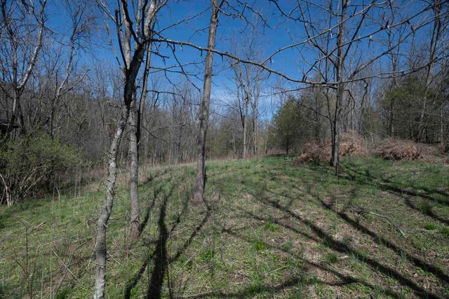 0 Davis Turkey Foot Road, Sadieville, KY 40370