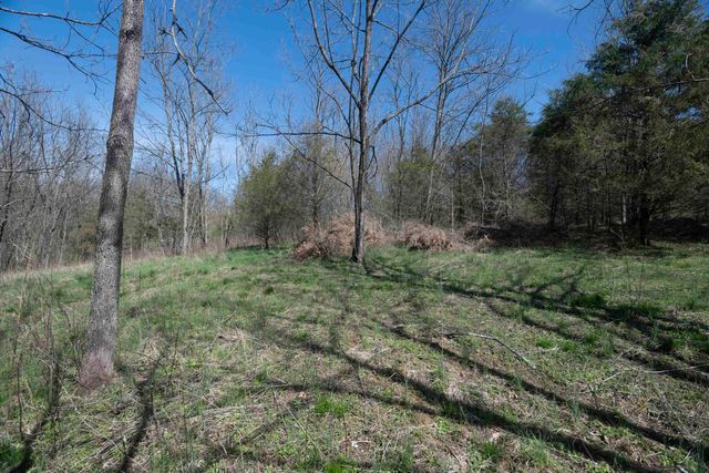 0 Davis Turkey Foot Road, Sadieville, KY 40370