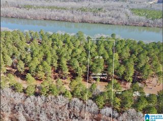 643 LIBERTY SHORES BOULEVARD, Vincent, AL 35178