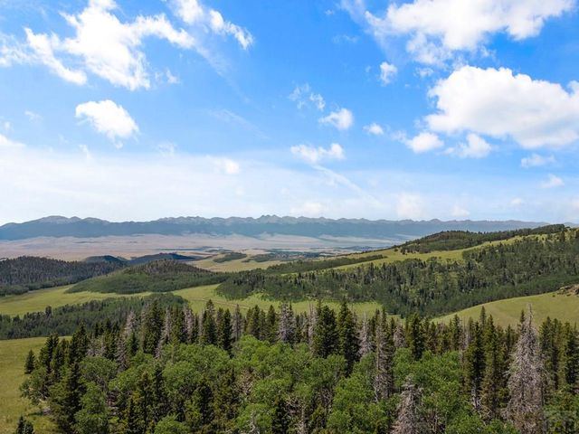 1705 Adams Ave, Westcliffe, CO 81252