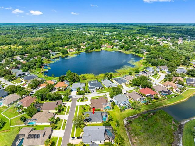 9104 CYPRESS KEEP LANE, Odessa, FL 33556
