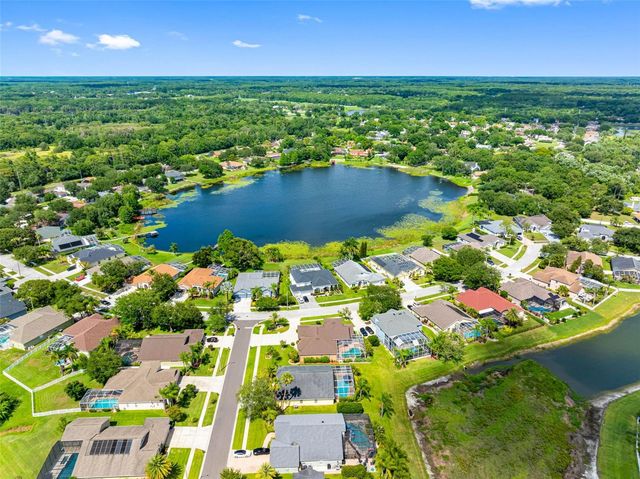 9104 CYPRESS KEEP LANE, Odessa, FL 33556