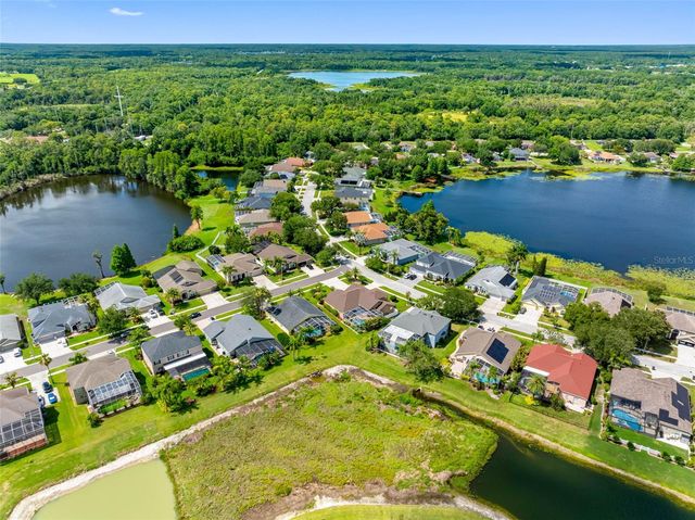 9104 CYPRESS KEEP LANE, Odessa, FL 33556
