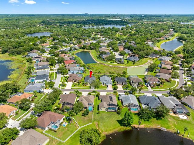 9104 CYPRESS KEEP LANE, Odessa, FL 33556