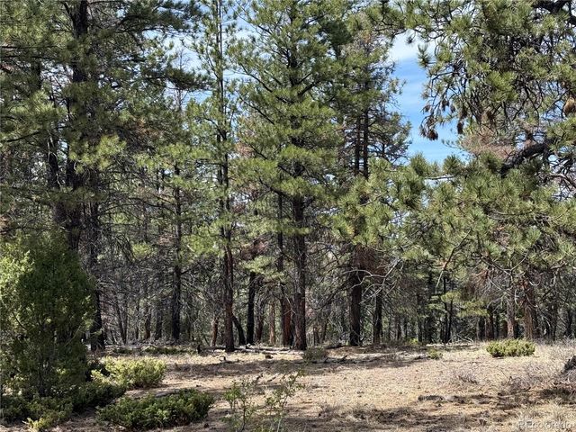 153 Tahmoush Lane, Fort Garland, CO 81133