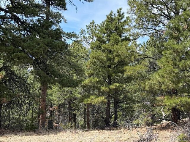 153 Tahmoush Lane, Fort Garland, CO 81133