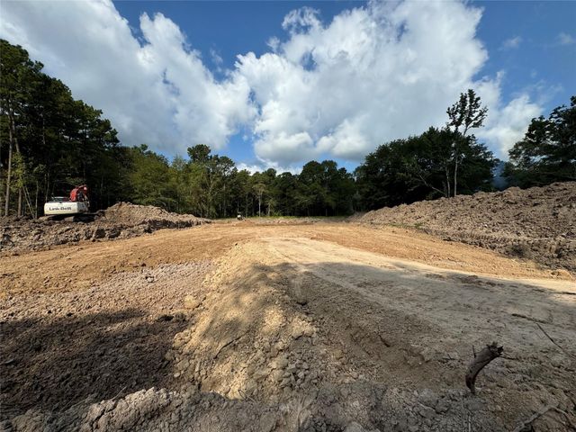 26156 Red Oak Drive, Magnolia, TX 77355