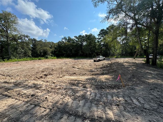 26156 Red Oak Drive, Magnolia, TX 77355