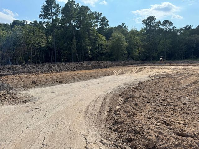 26156 Red Oak Drive, Magnolia, TX 77355