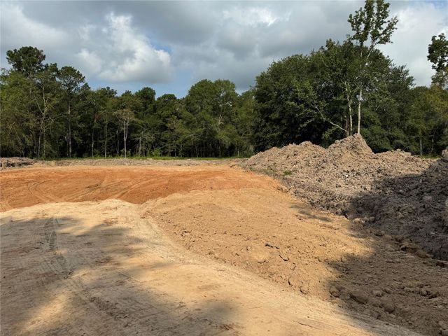 26156 Red Oak Drive, Magnolia, TX 77355