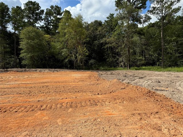 26156 Red Oak Drive, Magnolia, TX 77355