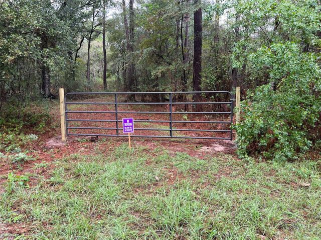 26156 Red Oak Drive, Magnolia, TX 77355