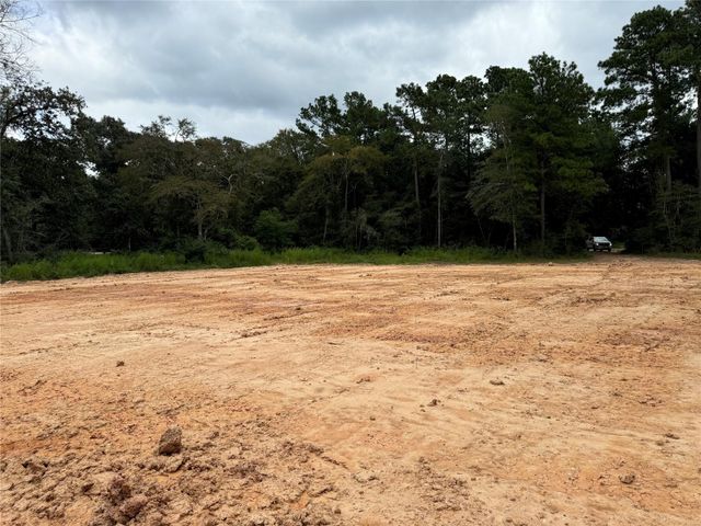 26156 Red Oak Drive, Magnolia, TX 77355