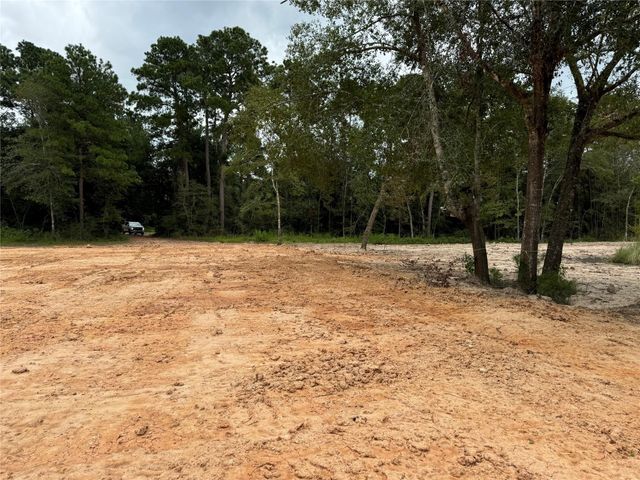 26156 Red Oak Drive, Magnolia, TX 77355