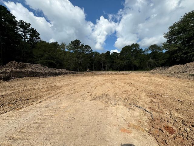 26156 Red Oak Drive, Magnolia, TX 77355