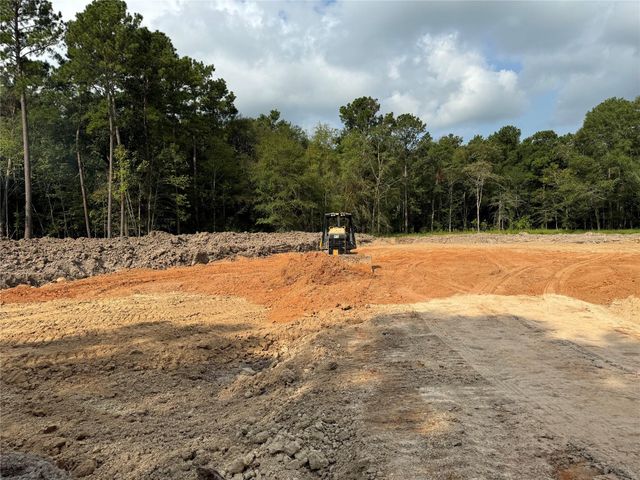 26156 Red Oak Drive, Magnolia, TX 77355