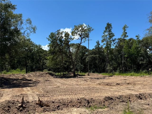 26156 Red Oak Drive, Magnolia, TX 77355