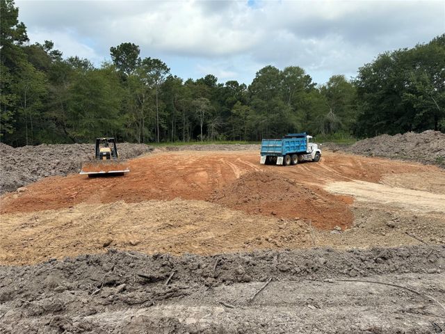 26156 Red Oak Drive, Magnolia, TX 77355