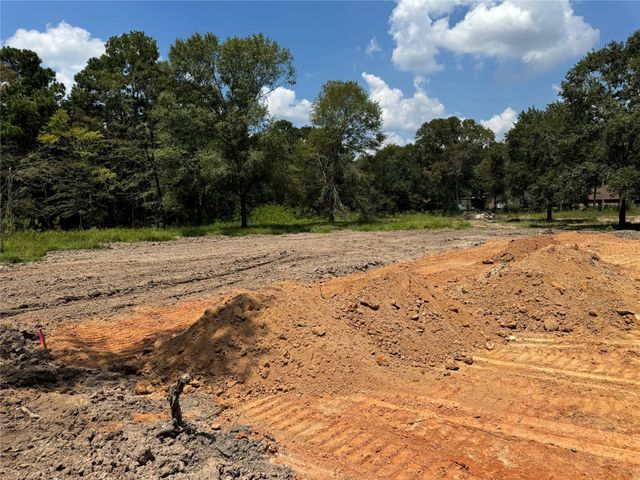 26156 Red Oak Drive, Magnolia, TX 77355