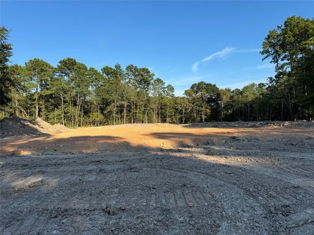 26156 Red Oak Drive, Magnolia, TX 77355