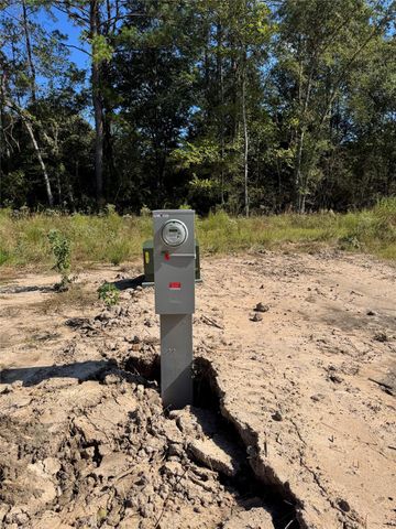 26156 Red Oak Drive, Magnolia, TX 77355