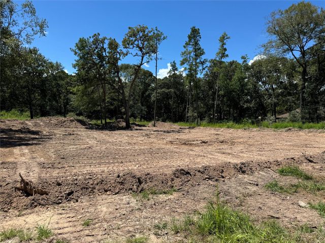 26156 Red Oak Drive, Magnolia, TX 77355