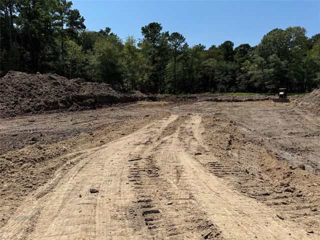 26156 Red Oak Drive, Magnolia, TX 77355