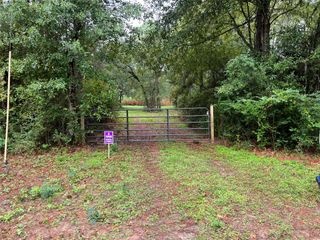 26156 Red Oak Drive, Magnolia, TX 77355