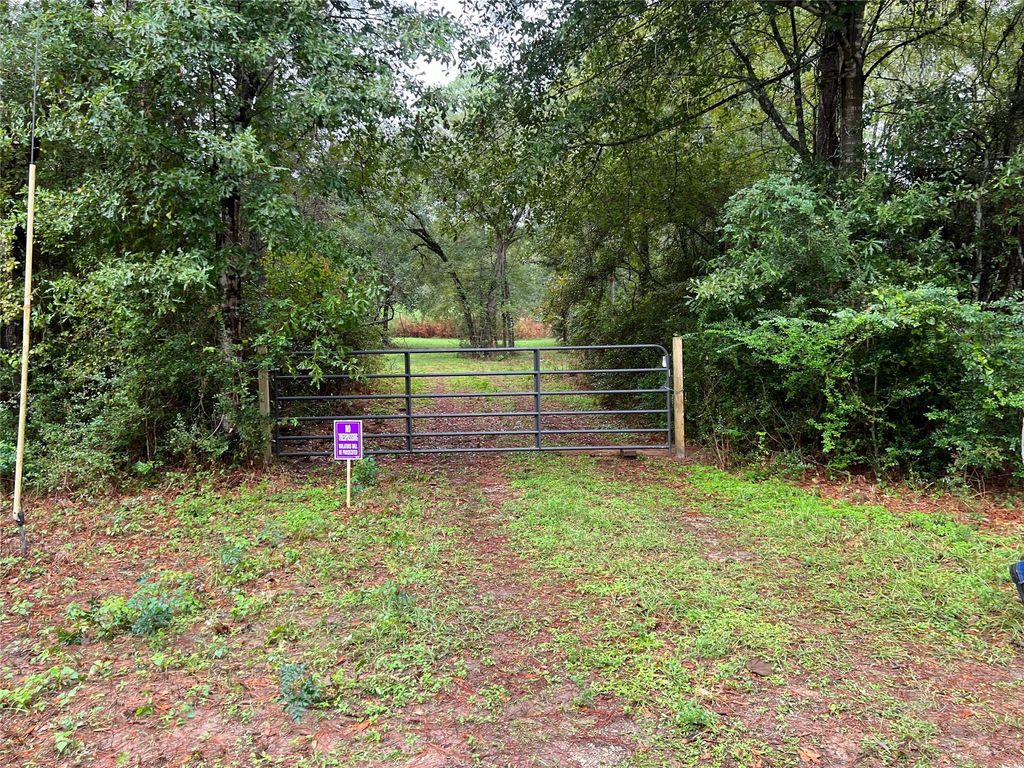 26156 Red Oak Drive, Magnolia, TX 77355