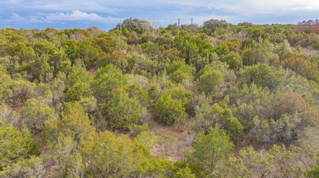 4175 Skyline Drive, Bluff Dale, TX 76433