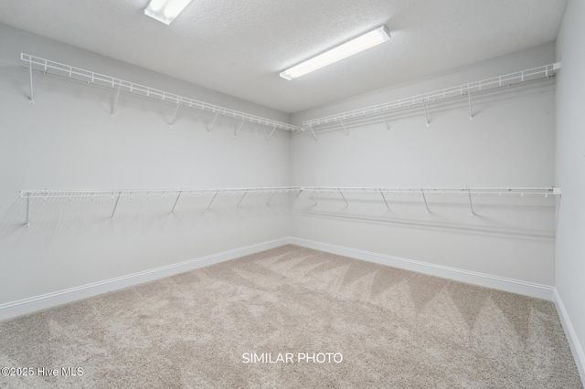 236 Big August Way, Jacksonville, NC 28546