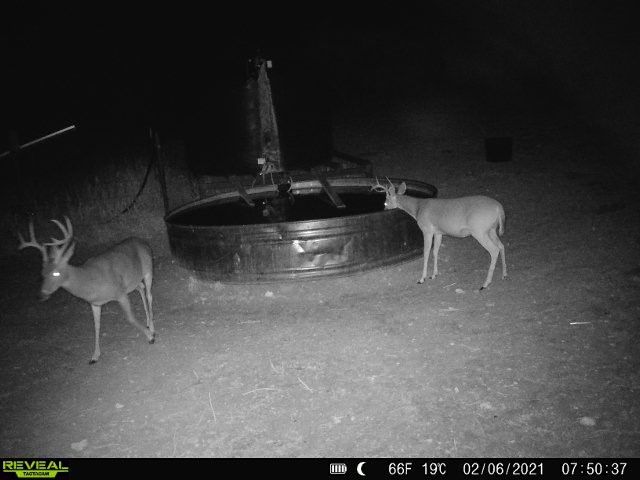 100 CR 186, Mullin, TX 76864