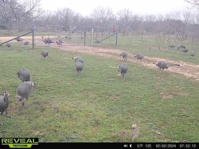 100 CR 186, Mullin, TX 76864