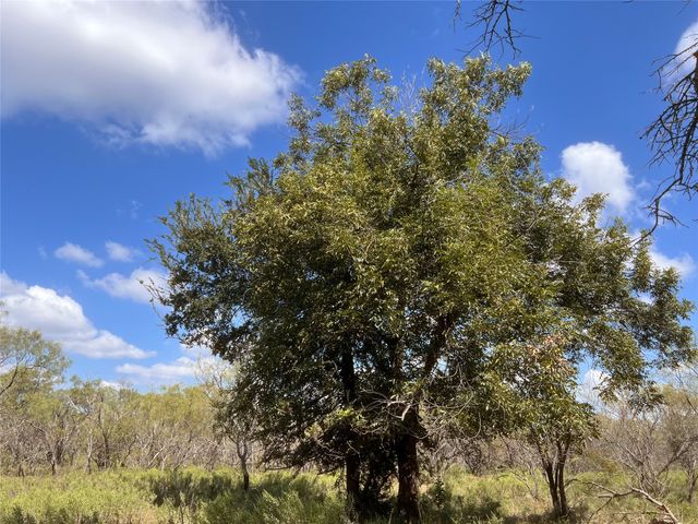 100 CR 186, Mullin, TX 76864
