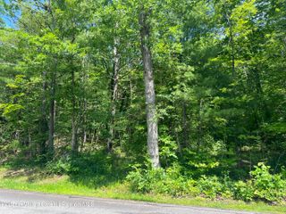 L20.1 Vosenkill Road, Athens, NY 12015