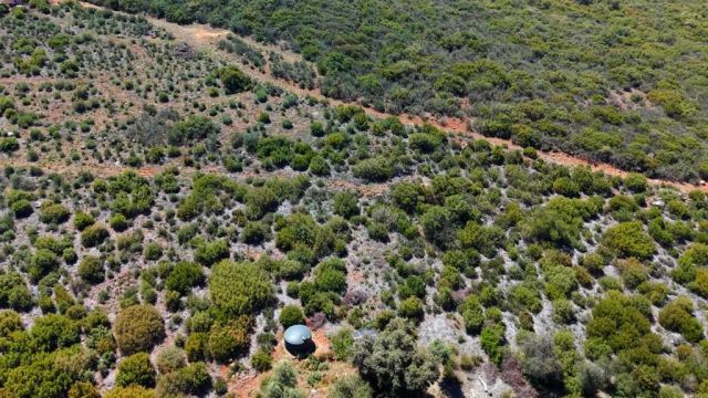 26779 Old Highway 80, Descanso, CA 91916