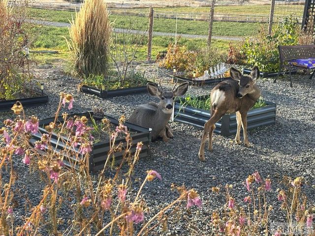 56 Country Living Lane, Salmon, ID 83467