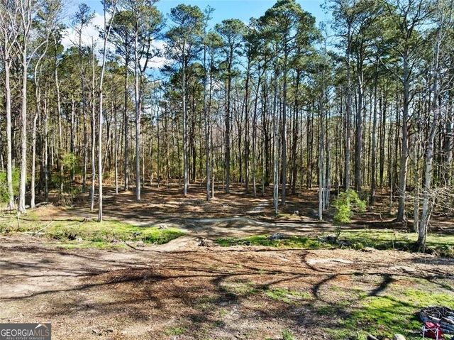 2950 Camp Mitchell Road, Loganville, GA 30052