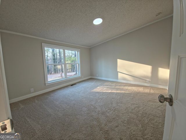 6967 Pinella Court, Douglasville, GA 30135