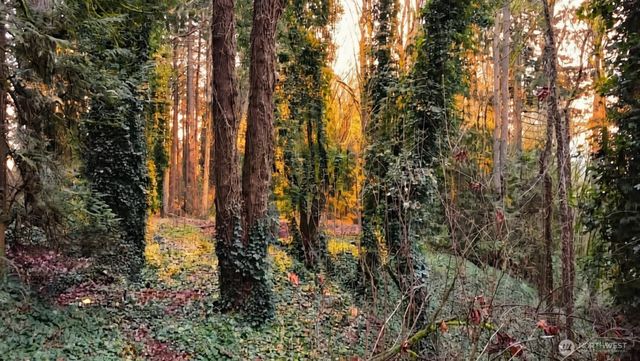 7017 NE 132, Kirkland, WA 98034