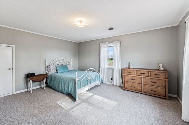 3799 Harmony Church Rd, Adams, TN 37010