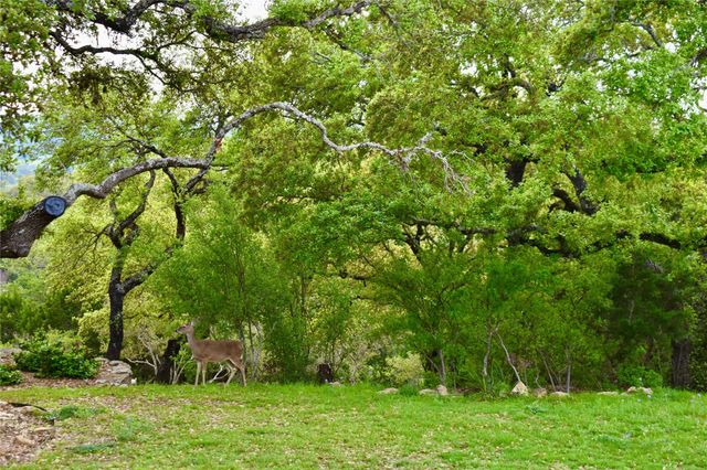 558 Rio Ridge Pkwy, Spring Branch, TX 78070
