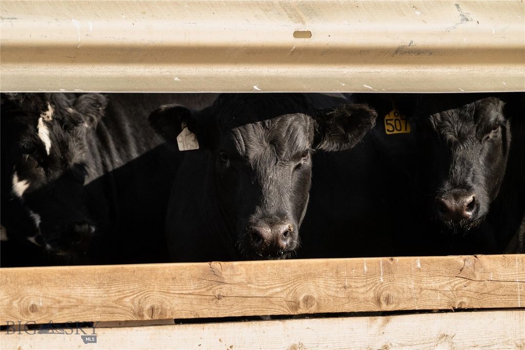 1120 Yellowstone Trail, Deer Lodge, MT 59722 photo 12