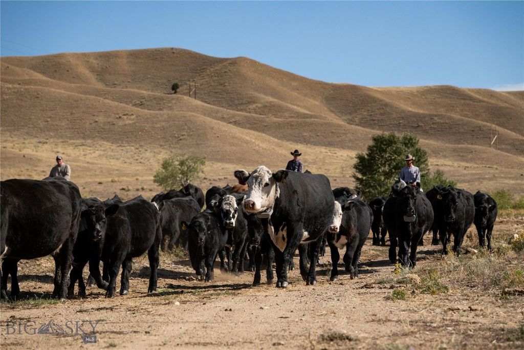 1120 Yellowstone Trail, Deer Lodge, MT 59722 photo 16